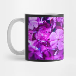 Violets Mug